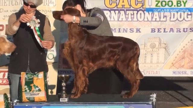 FCI-7.wmv смотреть онлайн