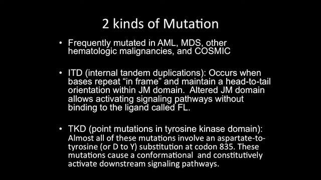 FLT3 смотреть онлайн