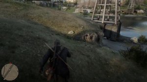 Полосатохвостый голубь (striped tailed pigeon) Red Dead Redemption 2