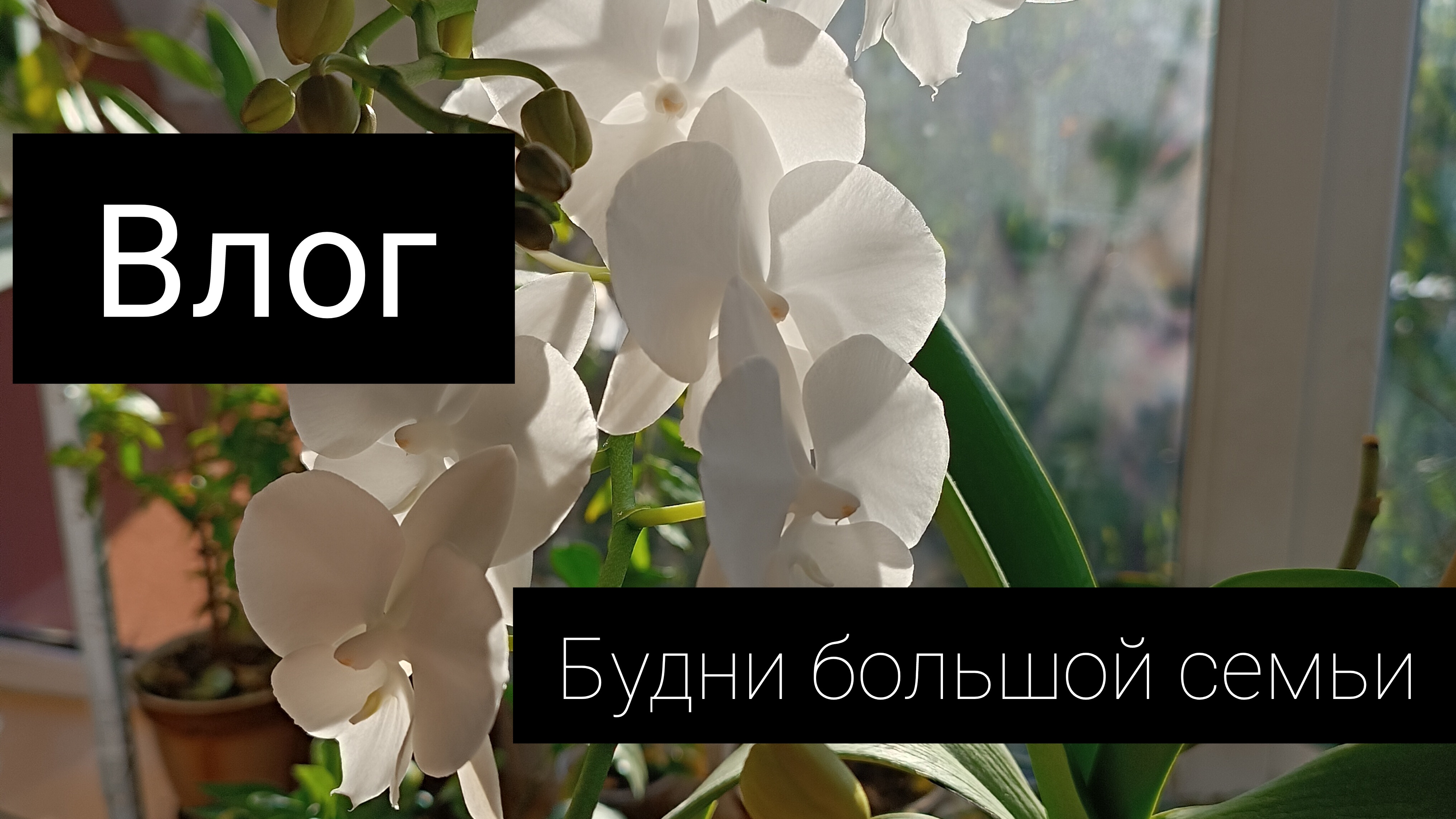 Влог будни большой семьи