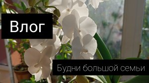 Влог будни большой семьи