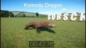 как бегает дракон