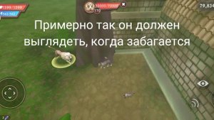 БАГ НА ТИГОНА! 😳 ПРОКАЧКА в WILDCRAFT 👀🔥