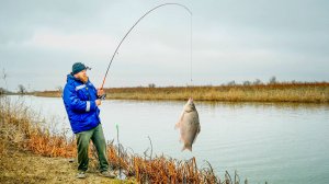 ДА ЭТА СНАСТЬ !"УБИЙЦА КАРАСЕЙ" РЕАЛЬНО БЕШЕНЫЙ КЛЕВ КРУПНОГО КАРАСЯ НА УДОЧКУ!