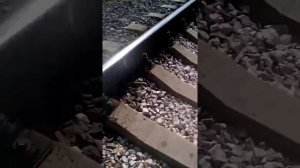 Мы убегаем от поезда