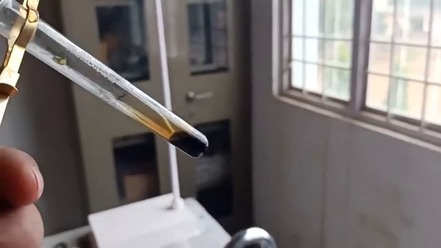 Test of Ntrite ion || SALT ANALYSIS #cbsepractical #ncertbasedquestion #saltanalysis