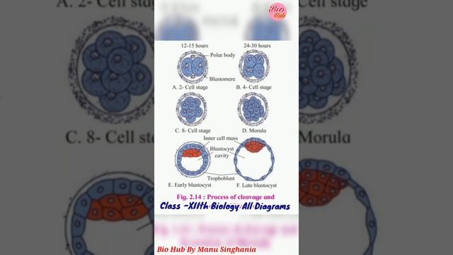 For Biology Students Motivational Video Status||Biology Students All Diagrams||Class XIIth||NEET||