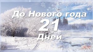 До Нового года 21 дней