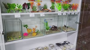 Декорации для аквариума