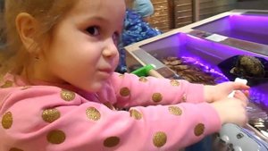 Dominica ловит ракушки и мидии