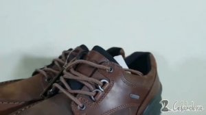 [CELAKOBRA] - Ecco Track 25 LOW  GTX boots original