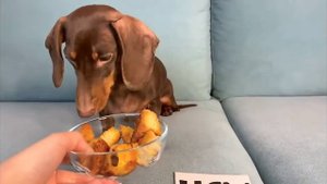 Фу или Ням??? || Чипитоси