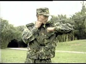 Chinese Military Combat