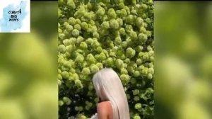 Kate Kirienko Curvy Model | Body Positivity | Fashion Nova | Curvy Fashion Model | Wiki, Biography