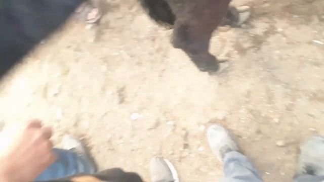 БУКАЛАР Сола сол бошланди | МОЛБОЗОР АШТ ШАНБЕ АППОН | НАВОСЛАР НАРХИ 15.05.21