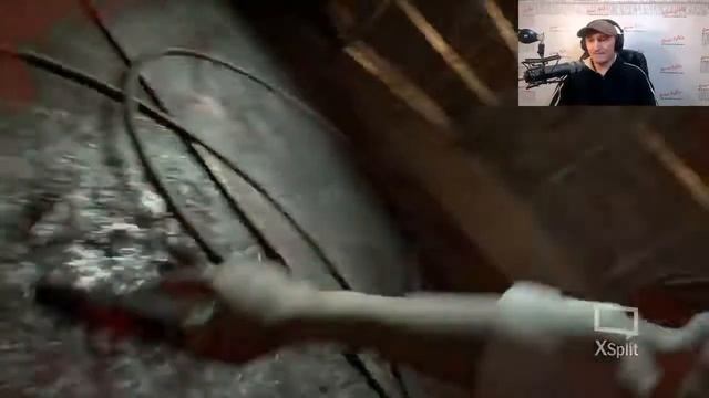 Resident Evil 7 : Biohazard. Джек забрал голову собаки. [Cтрим] #5 смотреть онлайн