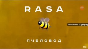 БЖ-БЖ-БЖ МЫ ПРОСТО ПЧЁЛЫ БЖ-БЖ-БЖ НА ВСЁ ГОТОВЫ...