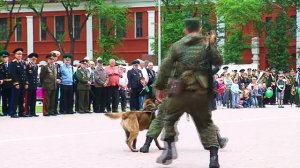 В Благовещенске масштабно отметили День пограничника