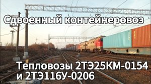 Сдвоенный контейнеровоз под 2ТЭ25КМ-0154 и 2ТЭ116У-0206. Сиверская, Окт, Ж/Д