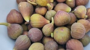 Урожай инжира, зацвёл топинамбур, молодая кукуруза осенью, ежевика "чёрная магия" Первые заморозки