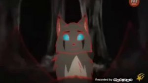 Коты воители клип- сказка