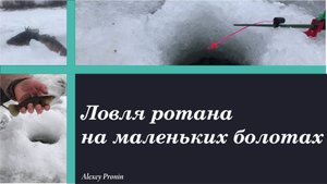 Зимняя ловля ротана на болотах.  Рыбалка на ротана.