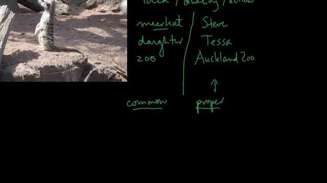 Common and Proper Nouns смотреть онлайн