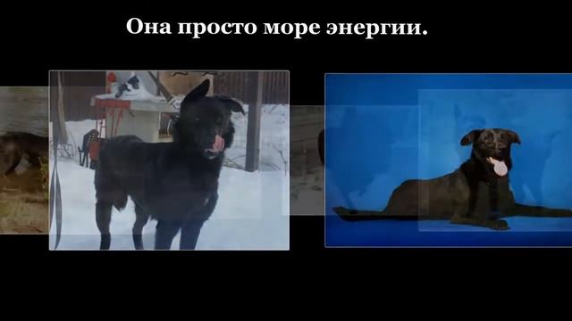 Дина: "Я жду тебя....." смотреть онлайн