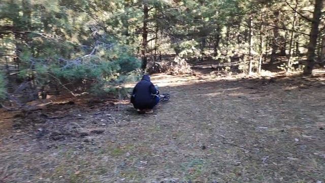 Семейный металлокоп с эквинокс 600  Minelab EQUINOX 600. Ч.1.