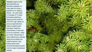 Николаев 11 декабря 2024 года (новости)