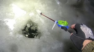 РОТАНЫ КОНИ! ПОДВОДНАЯ СЪЁМКА