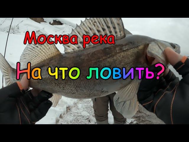 Ультралайт. рыбалка в оттепель. Ловля Окуня Зимой.