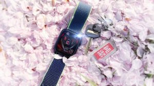 貞操帯チル#3(Chill Out Chastity Belt)