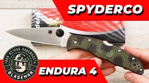 Нож Spyderco Endura 4, VG-10, Zome Green, C10ZFPGR