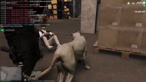 Пум пурум пум пума!