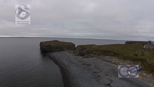 близкий подход лого