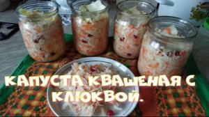 Капуста квашеная с клюквой.