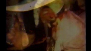 Throbbing Gristle - Hamburger lady