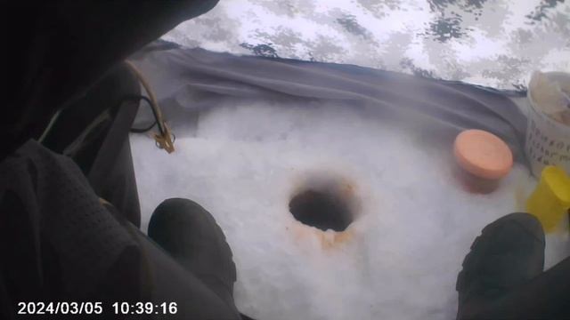 Ловля на мормышку с мотылем на Карьере🎣 Воспоминания о рыбалке👍🎣