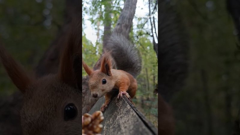 Сейчас посмотрим, что там у тебя