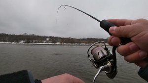 Ловля Язя на Спиннинг | CRAZY-FISH | Whitebait