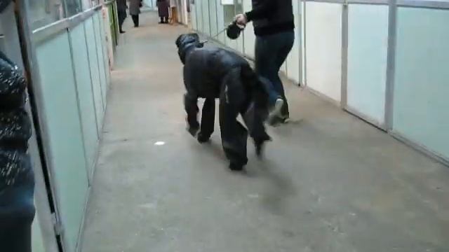 www.zoonuans.ru
