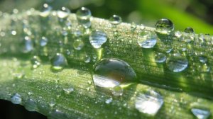 Смотри какая красота 720