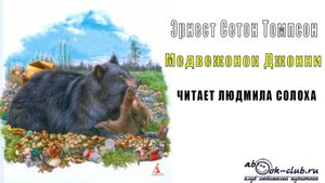 Эрнест Сетон Томпсон "Медвежёнок Джонни" (аудиорассказ)
