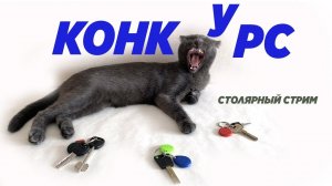 Конкурс. Столярный стрим