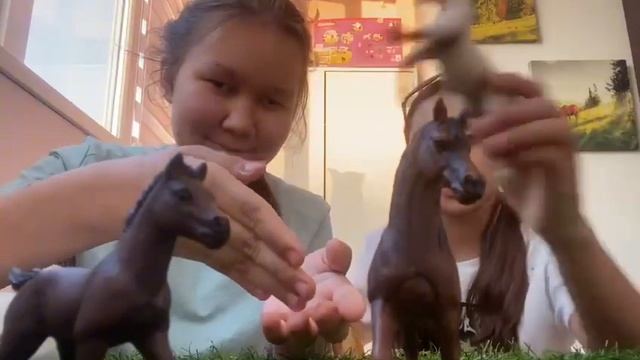 ￼ Распаковка лошадь Шляйх Же ребёнок погоды  Арабский￼  и Собака￼Папо Породы хаски￼￼ смотреть онлайн