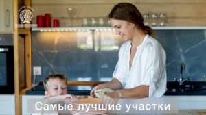 Участки ИЖС НСО. https___novoalexeevsk.ru