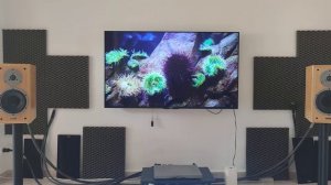Devialet expert 200+ Dynaudio 25 special twenty five, furutech oyaide, acoustic zen.