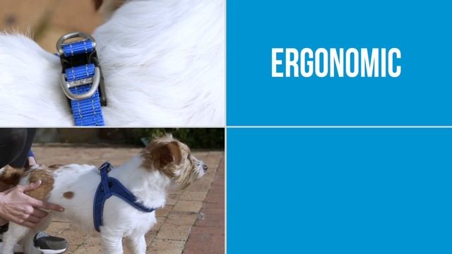 Rogz Utility Fast-Fit Harness - Product Overview смотреть онлайн