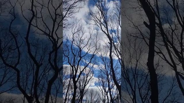 528 Гц Волшебная Частота Любви и Восстановление ДНК | Бинауральные Ритмы